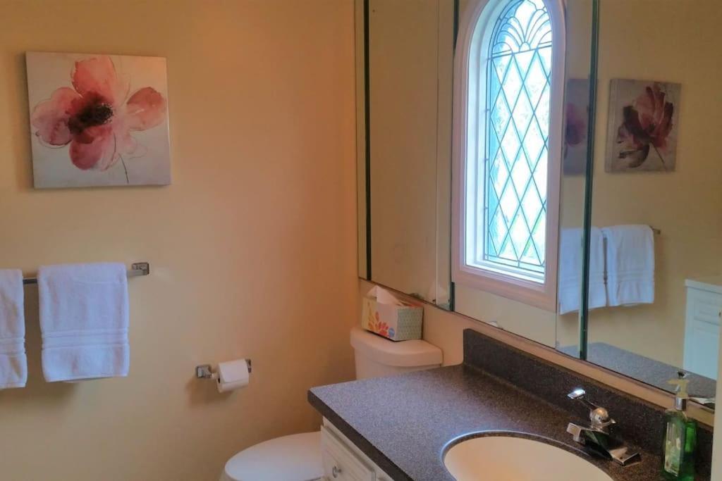 Castlegate Guest Apartment วิสตา ภายนอก รูปภาพ